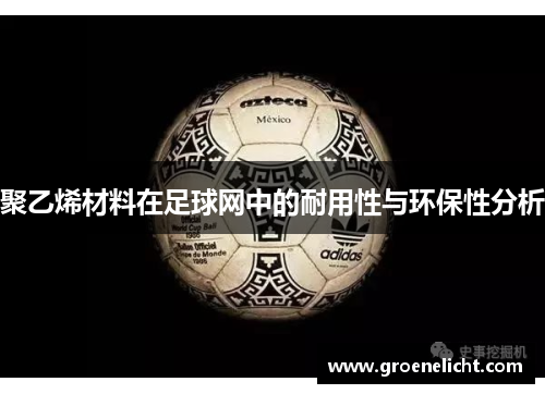 聚乙烯材料在足球网中的耐用性与环保性分析